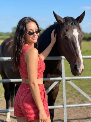 Horse field scene