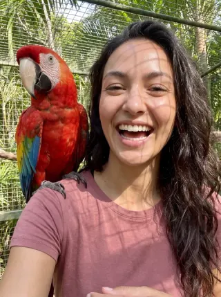 Parrot friend scene